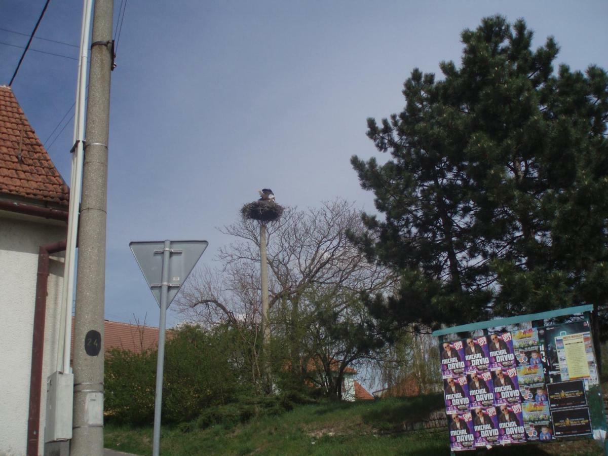 "U Capa" Krasny Apartman V Sedleci Sedlec  Zewnętrze zdjęcie