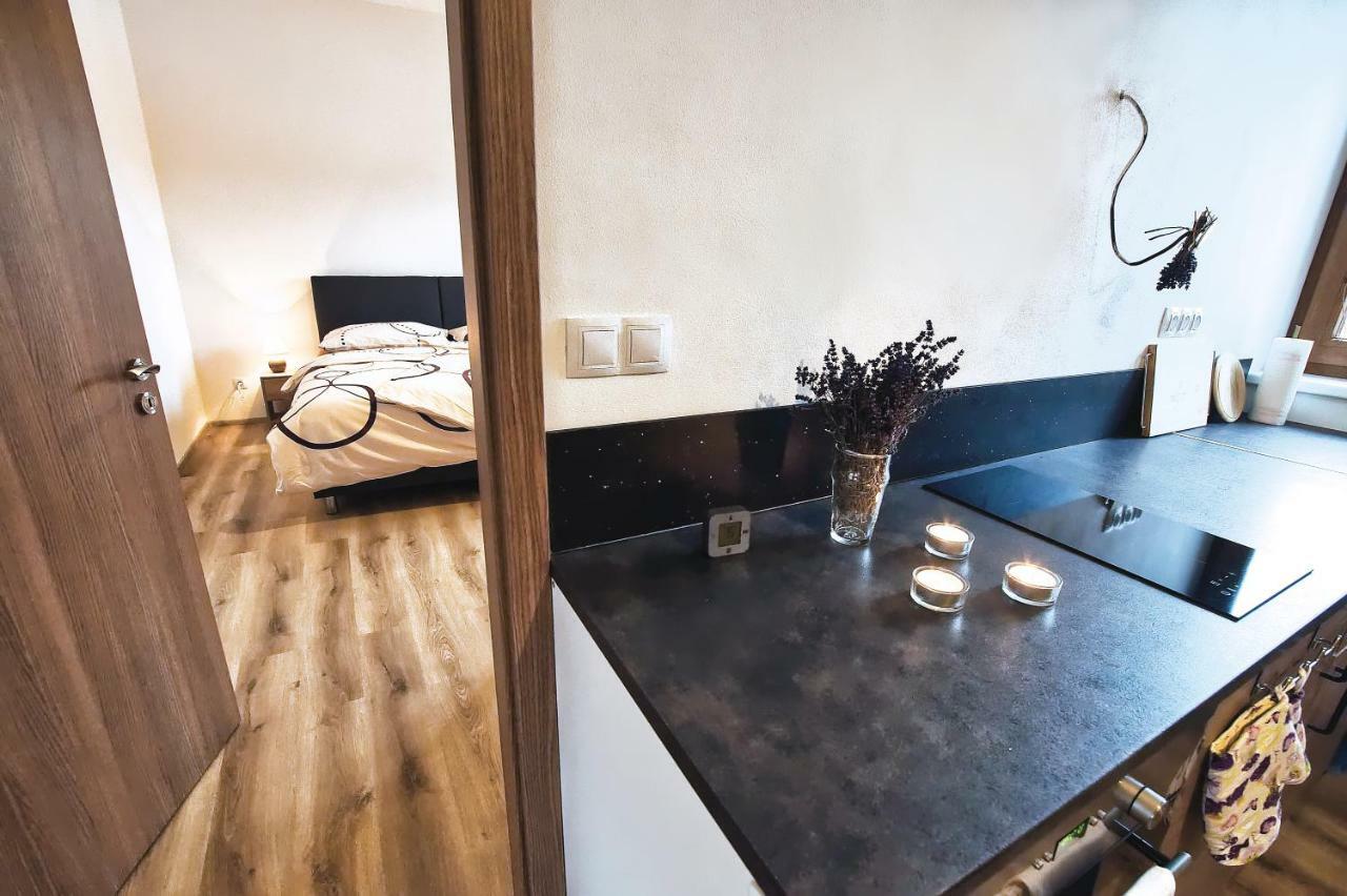 "U Capa" Krasny Apartman V Sedleci Sedlec  Zewnętrze zdjęcie